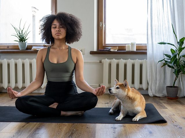 Subscription Based At-Home Health & Fitness Brand offering Fitness Products & Services via an eCommerce Subscription Model – 2 Shopify Websites – 82% of Revenue is Recurring