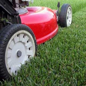 AMAZON COMPANY – BRANDED CONSUMER PRODUCT LINE IN THE LAWN & GARDEN CATEGORY