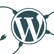 HIGHLY RANKED WORDPRESS PLUGIN AND SOFTWARE COMPANY