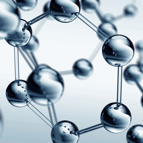 RESEARCH GRADE SUPPLEMENTS & DIETARY PRODUCTS INTERNET COMPANY