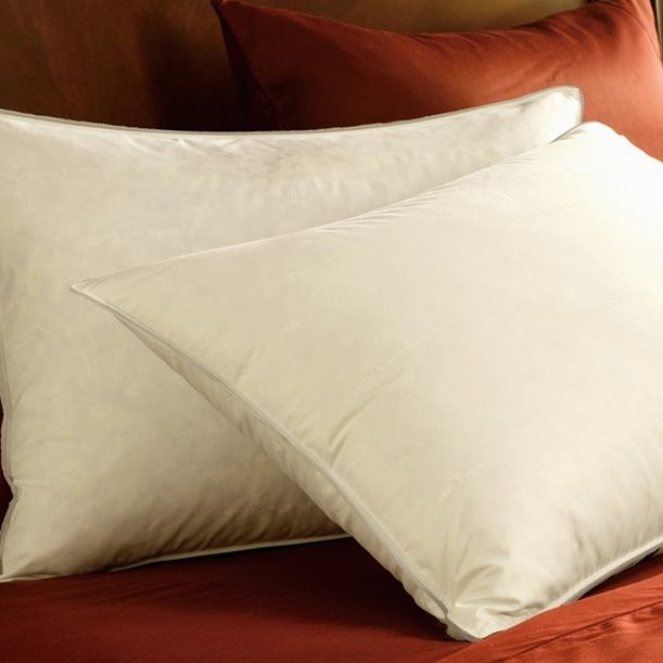 BRANDED, YOY GROWTH AMAZON ECOMMERCE SITE IN THE PILLOWS SEGMENT