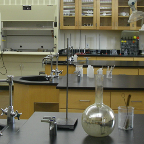 RARE PREMIUM DOMAIN ECOMMERCE COMPANY – POSITION 1 – SECTOR LEADER