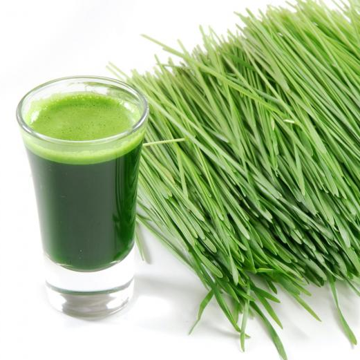 ORGANIC SUPERFOODS – BRANDED CONSUMABLE PRODUCTS – HEALTH & WELLNESS VERTICAL