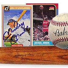 10 YEAR SEASONED INTERNET COMPANY IN THE SPORTS CARD & MEMORABILIA SECTOR