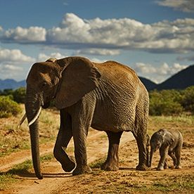 ENVIRONMENTALLY FRIENDLY ECOMMERCE COMPANY – LARGE FOLLOWING