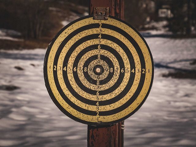 Patented Laser Firearm Training Brand with a Proprietary App and 61% Margins – Over 50,000 Active Users – Reduces the Cost of Ammunition with Laser Guided Target Practice – Amazon & DTC Sales Channels