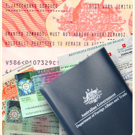 INTERNATIONAL PARTNER VISA SERVICES NICHE-SEGMENT WEBSITE